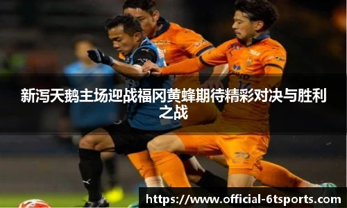 6t体育